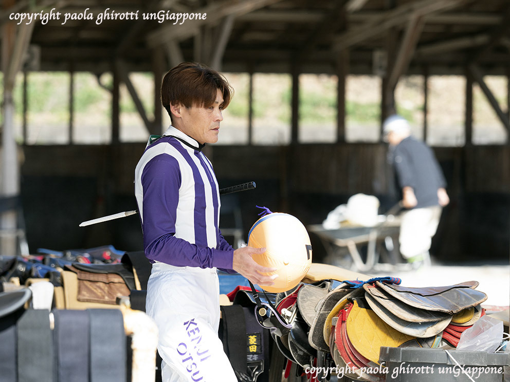 japan , gifu prefecture, kasamatsu keiba, horse race, copyright paola ghirotti