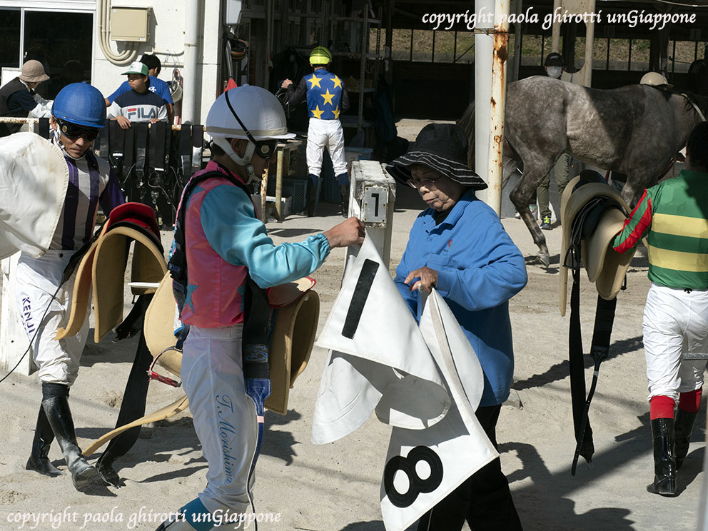 japan , gifu prefecture, kasamatsu keiba, horse race, copyright paola ghirotti