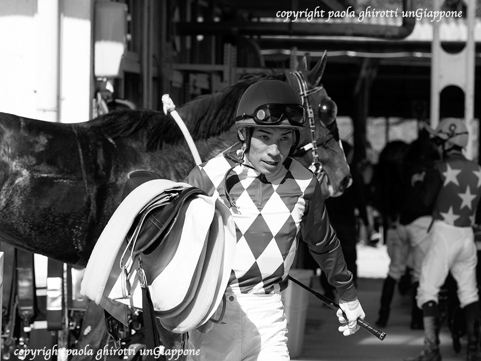 japan , gifu prefecture, kasamatsu keiba, horse race, copyright paola ghirotti