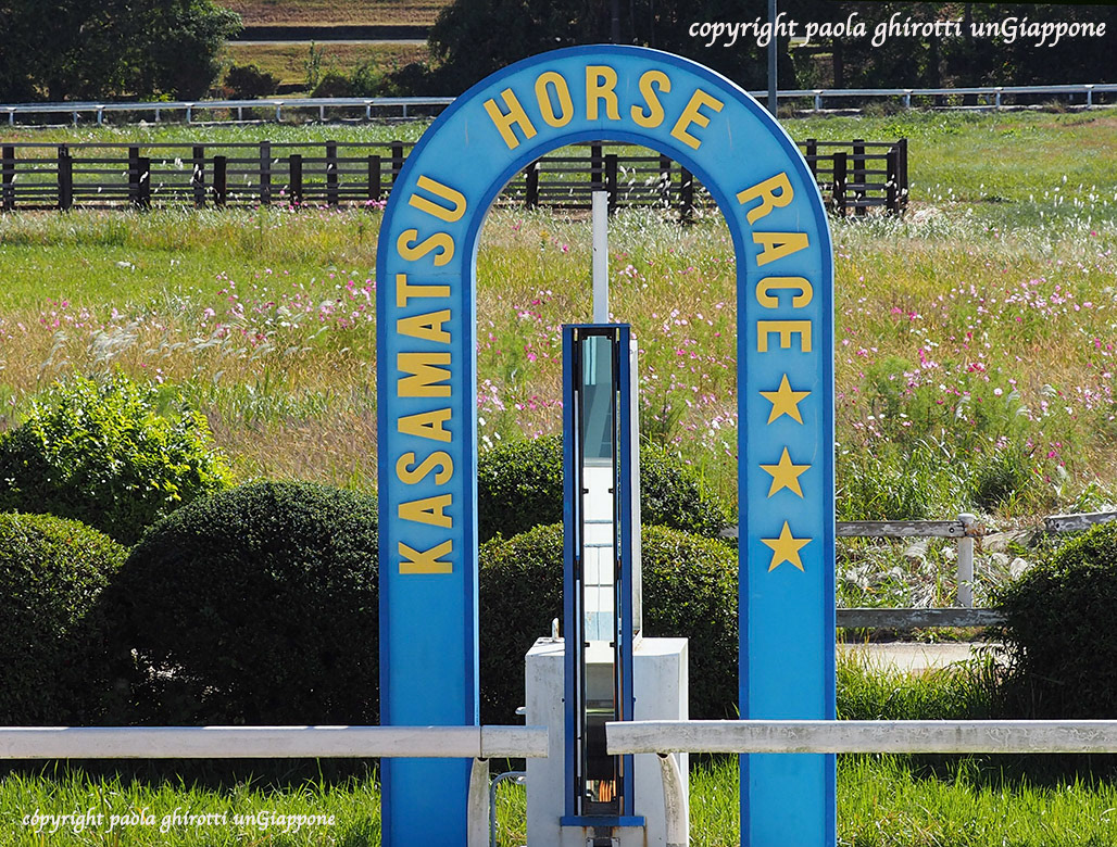 japan , gifu prefecture, kasamatsu keiba, horse race, copyright paola ghirotti