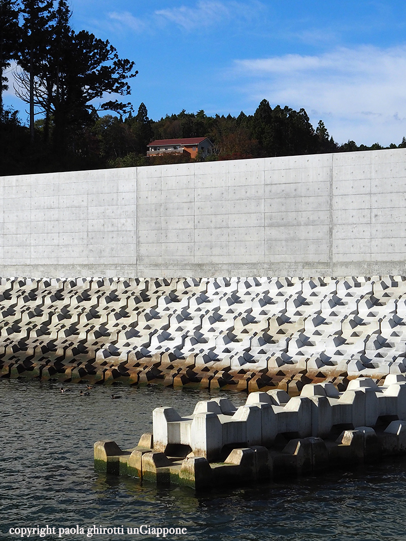 2019 Tohoku Iwate ken Kesennuma 気仙沼市