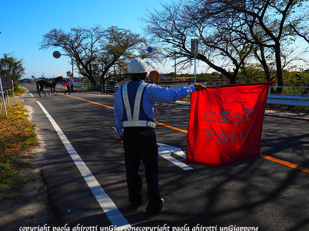 japan , gifu prefecture, kasamatsu keiba, horse race, copyright paola ghirotti