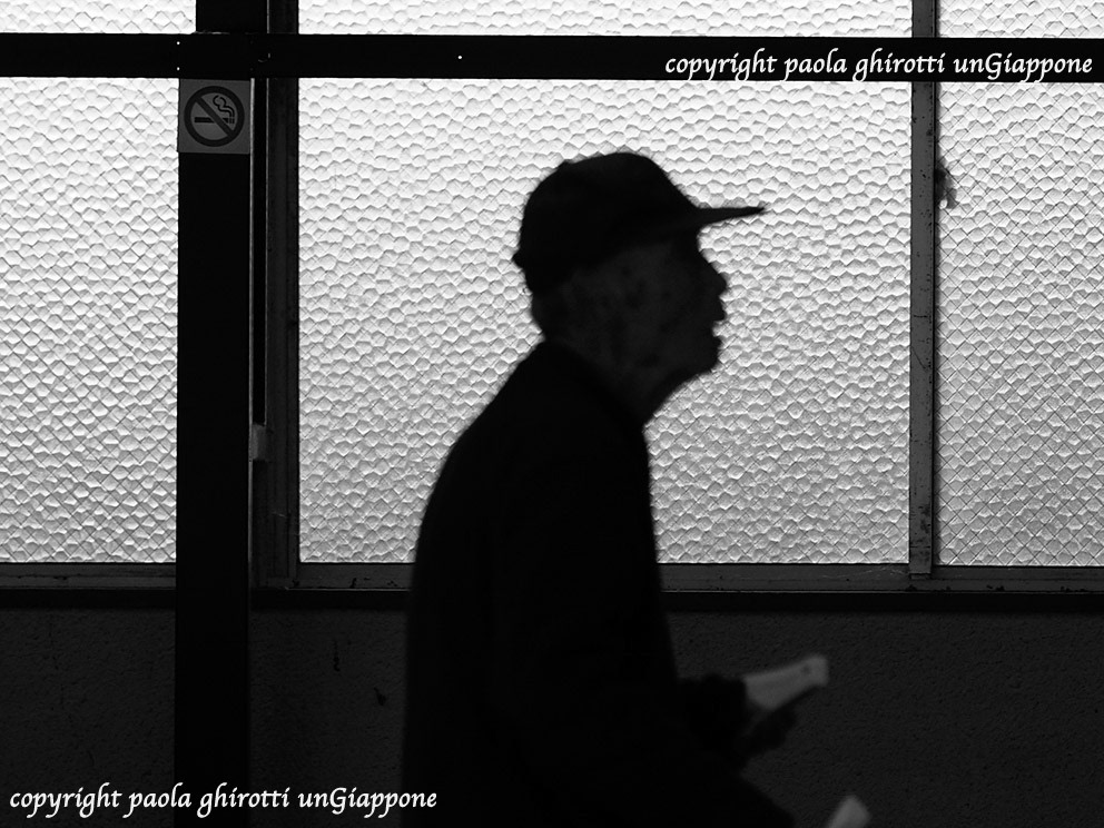 japan , gifu prefecture, kasamatsu keiba, horse race, copyright paola ghirotti