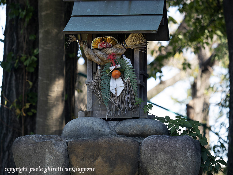 japan , gifu prefecture, kasamatsu keiba, horse race, copyright paola ghirotti