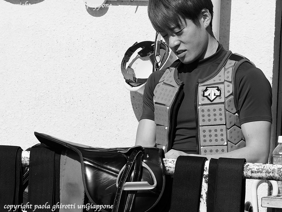 japan , gifu prefecture, kasamatsu keiba, horse race, copyright paola ghirotti