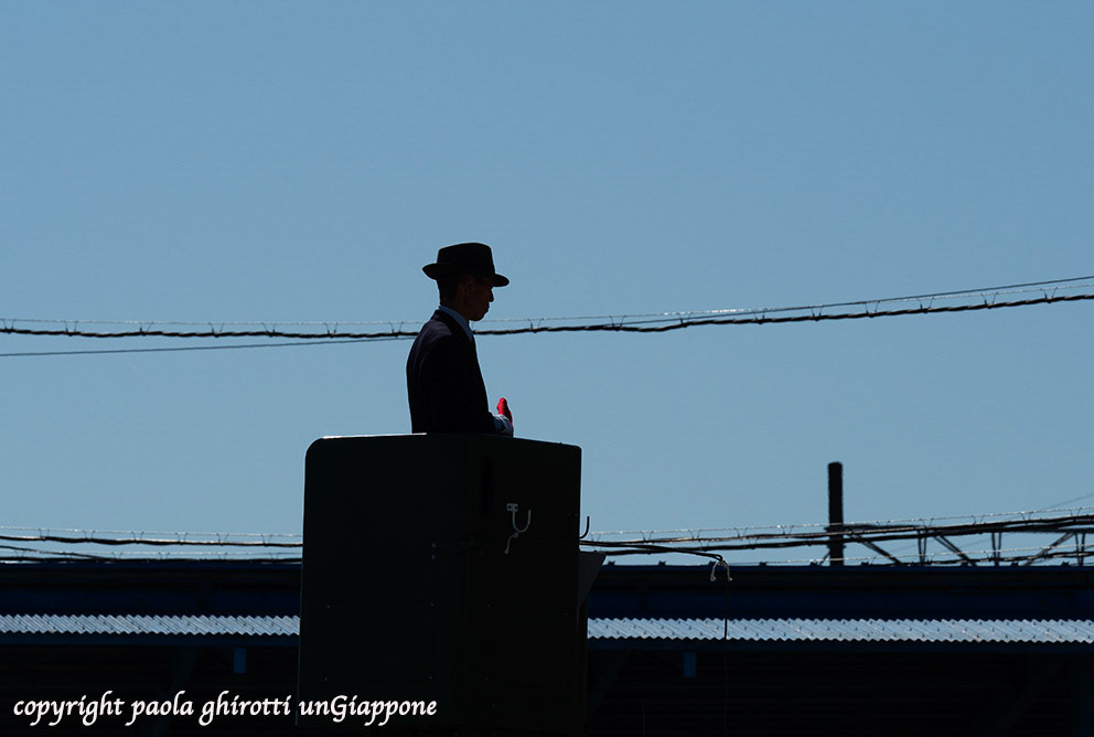 japan , gifu prefecture, kasamatsu keiba, horse race, copyright paola ghirotti