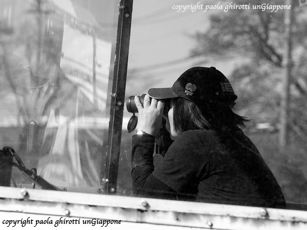 japan , gifu prefecture, kasamatsu keiba, horse race, copyright paola ghirotti