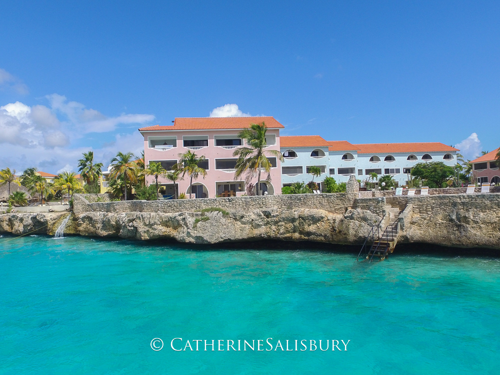 Bonaire - The Blue Zone snorkelling on Bari Reef
