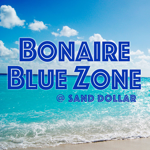 Bonaire Blue Zone at Sand Dollar