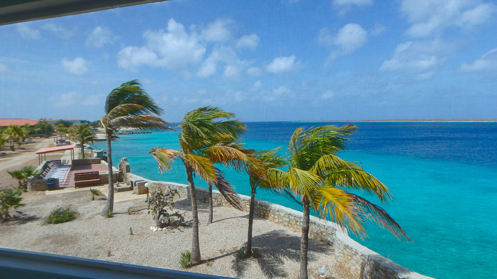 Bonaire - The Blue Zone View from Bedroom