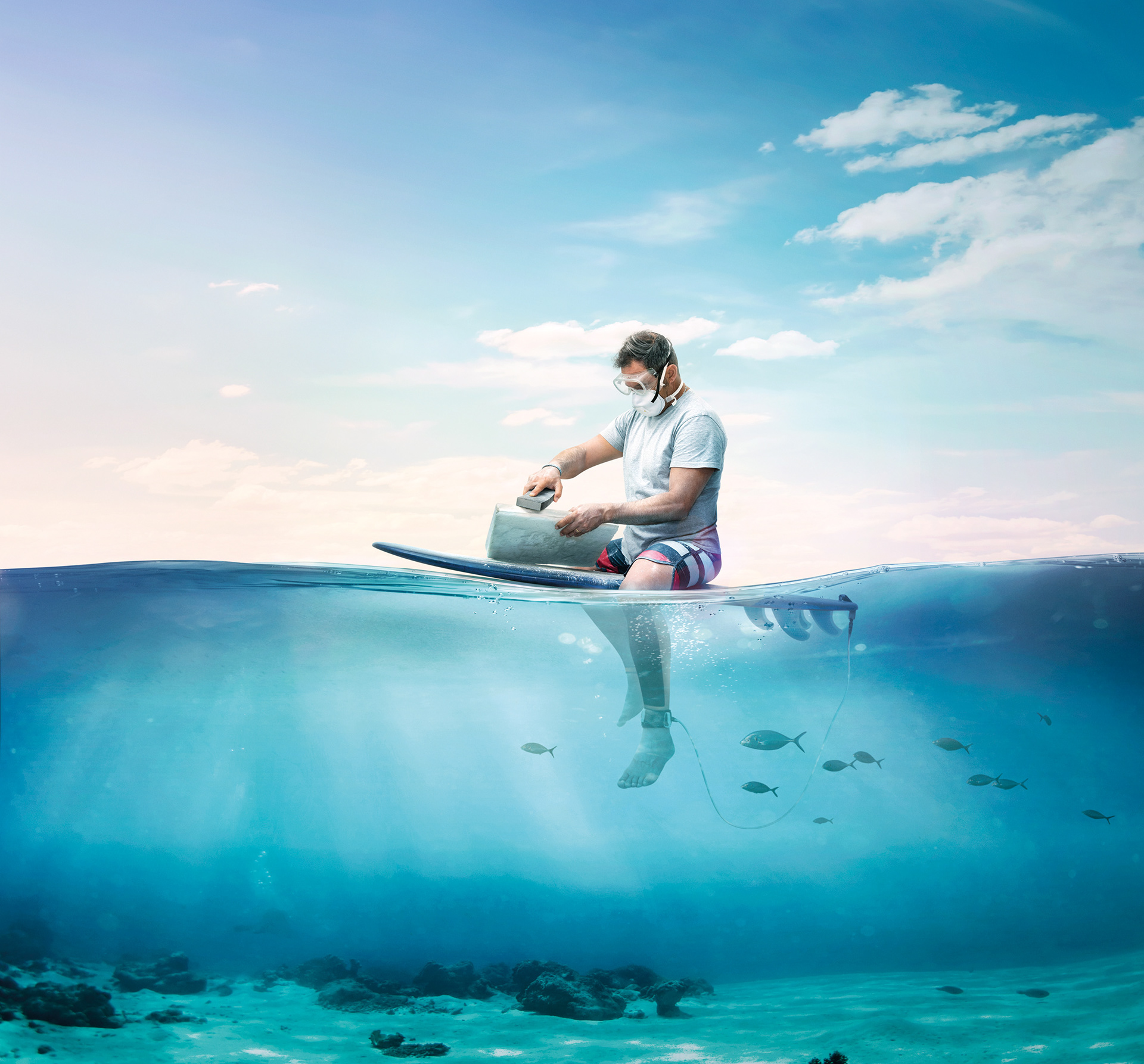 Surf Social Wave | Gravity