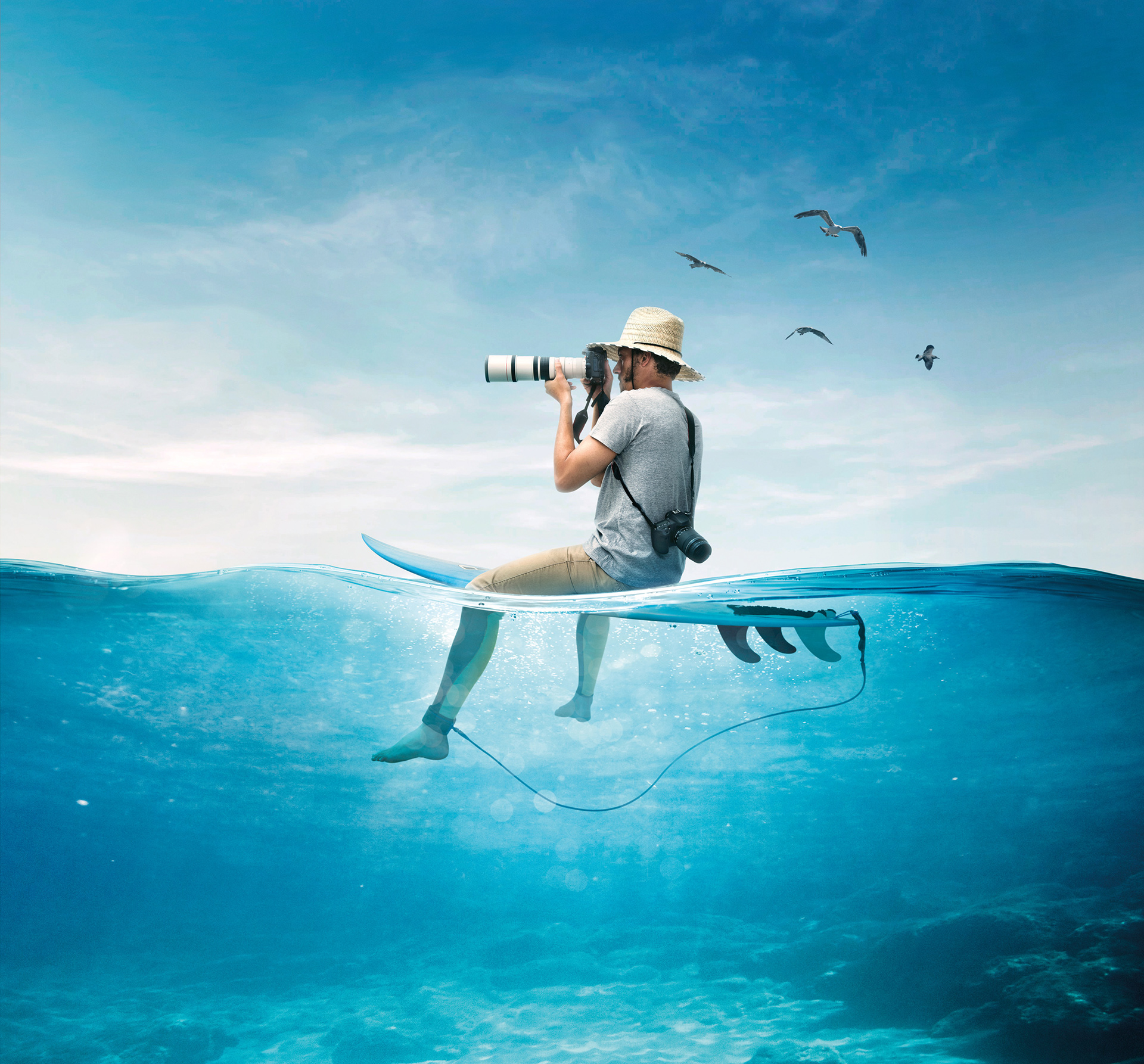 Surf Social Wave | Gravity