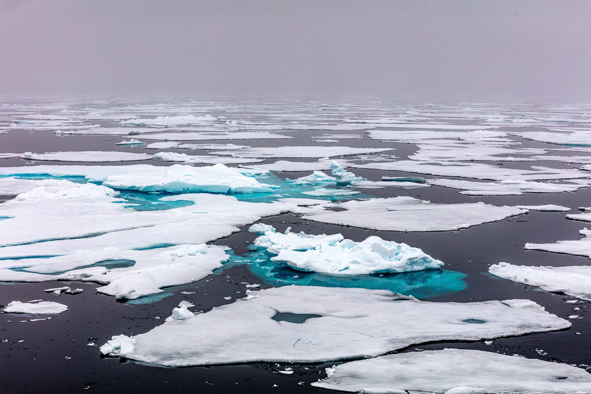 Ice Edge Lat 80 Deg 28.5 Min North