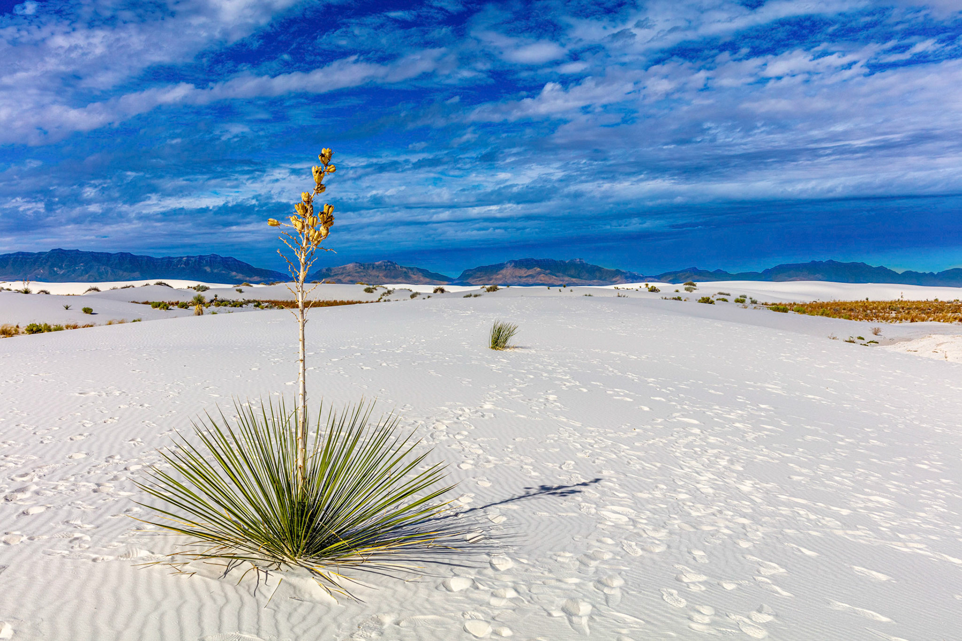 White Sands National moniment