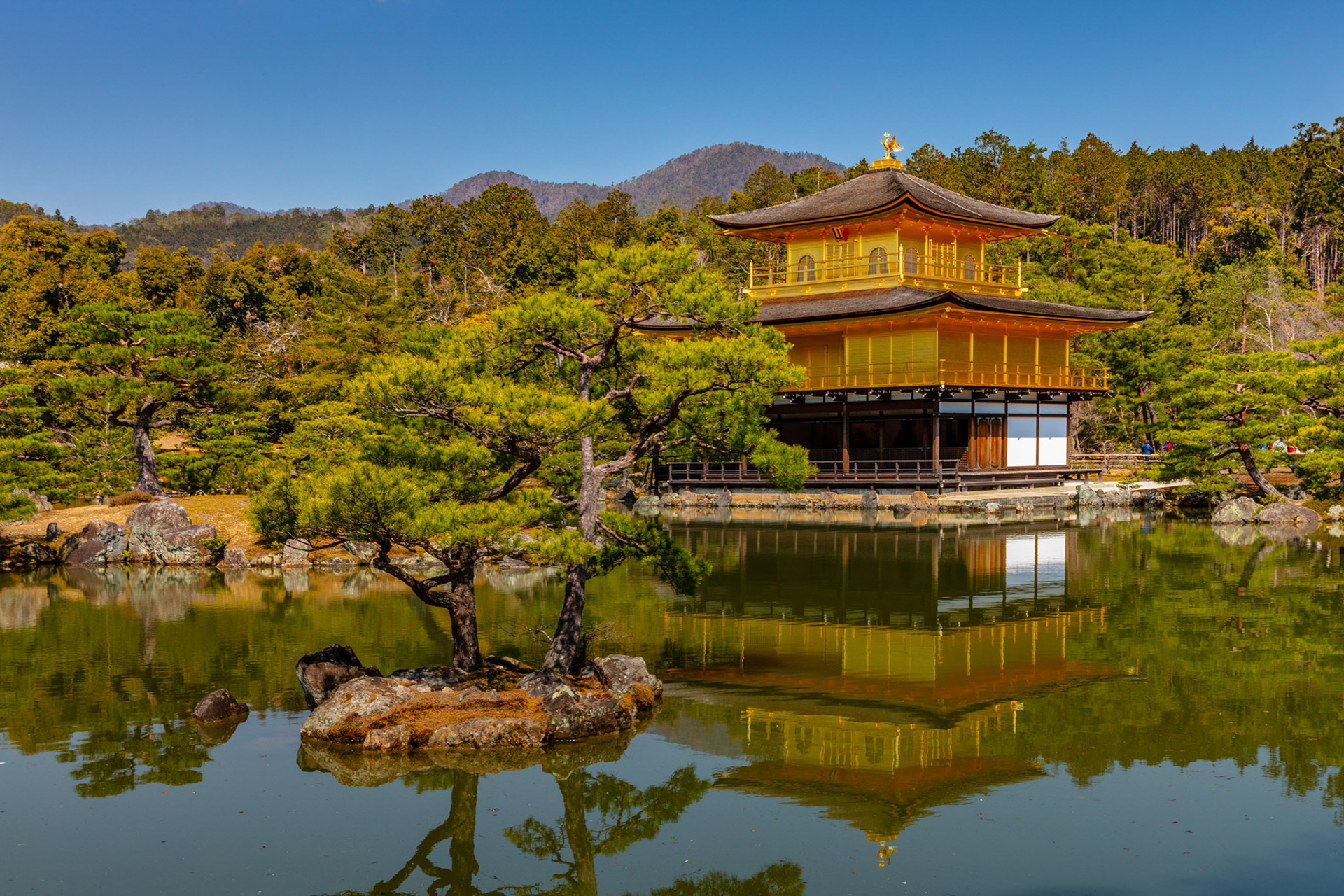 Kinkaku-ji Golden Temple