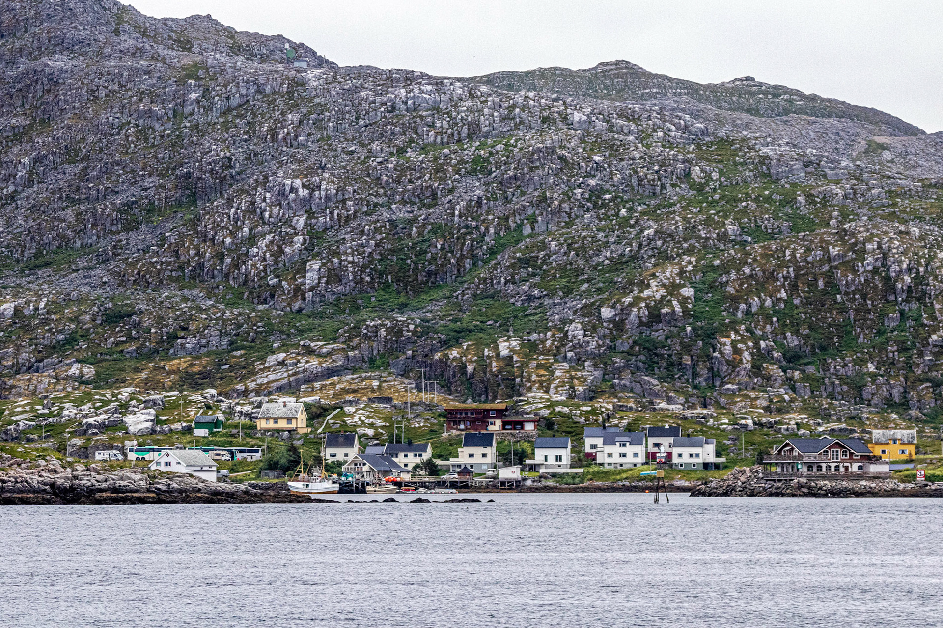 North Cape Gjesvær Bird Watching Tour Gjesvær
