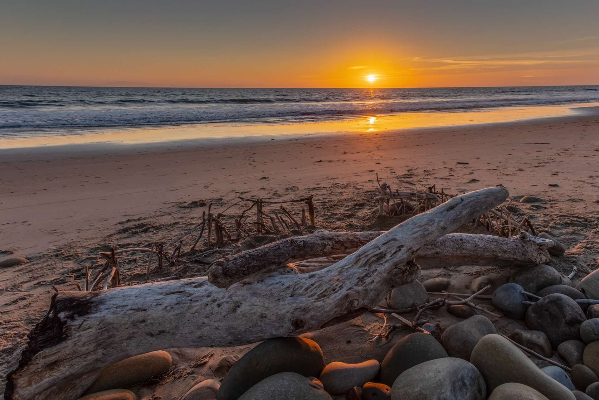 Driftwood at Ventura Beach