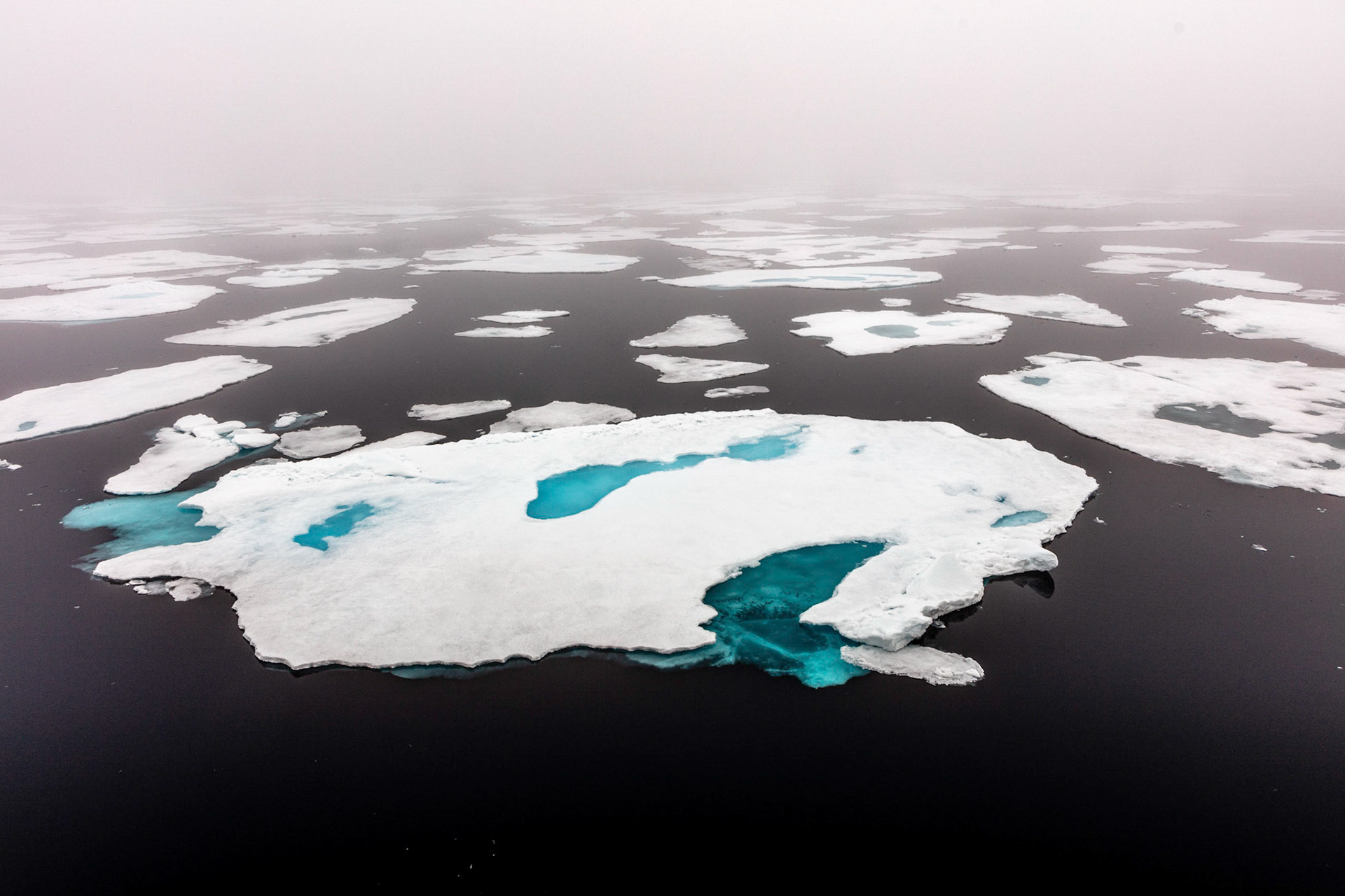 Ice Edge Lat 80 Deg 28.5 Min North