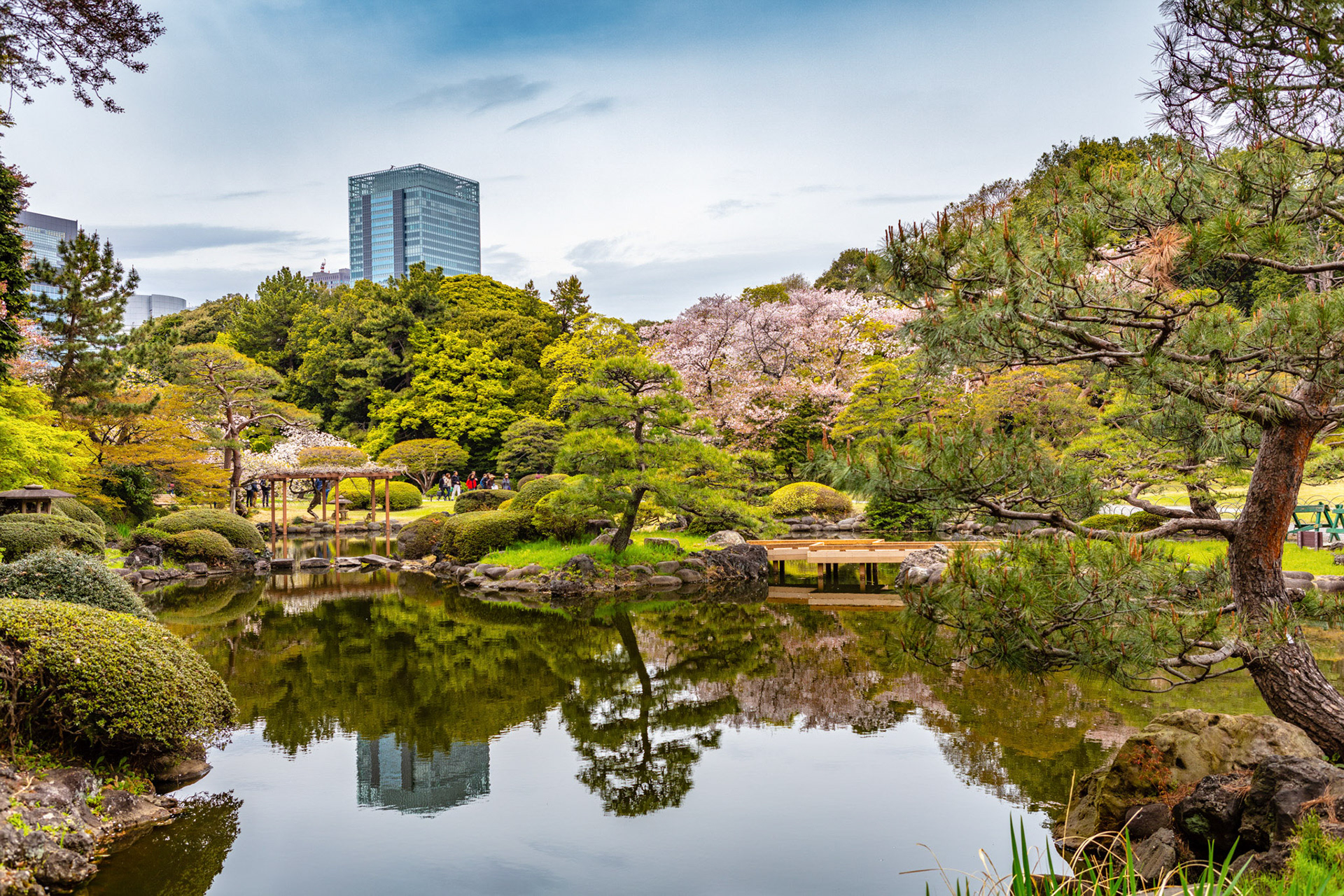Shinjuku-gyoen Park Tokyo