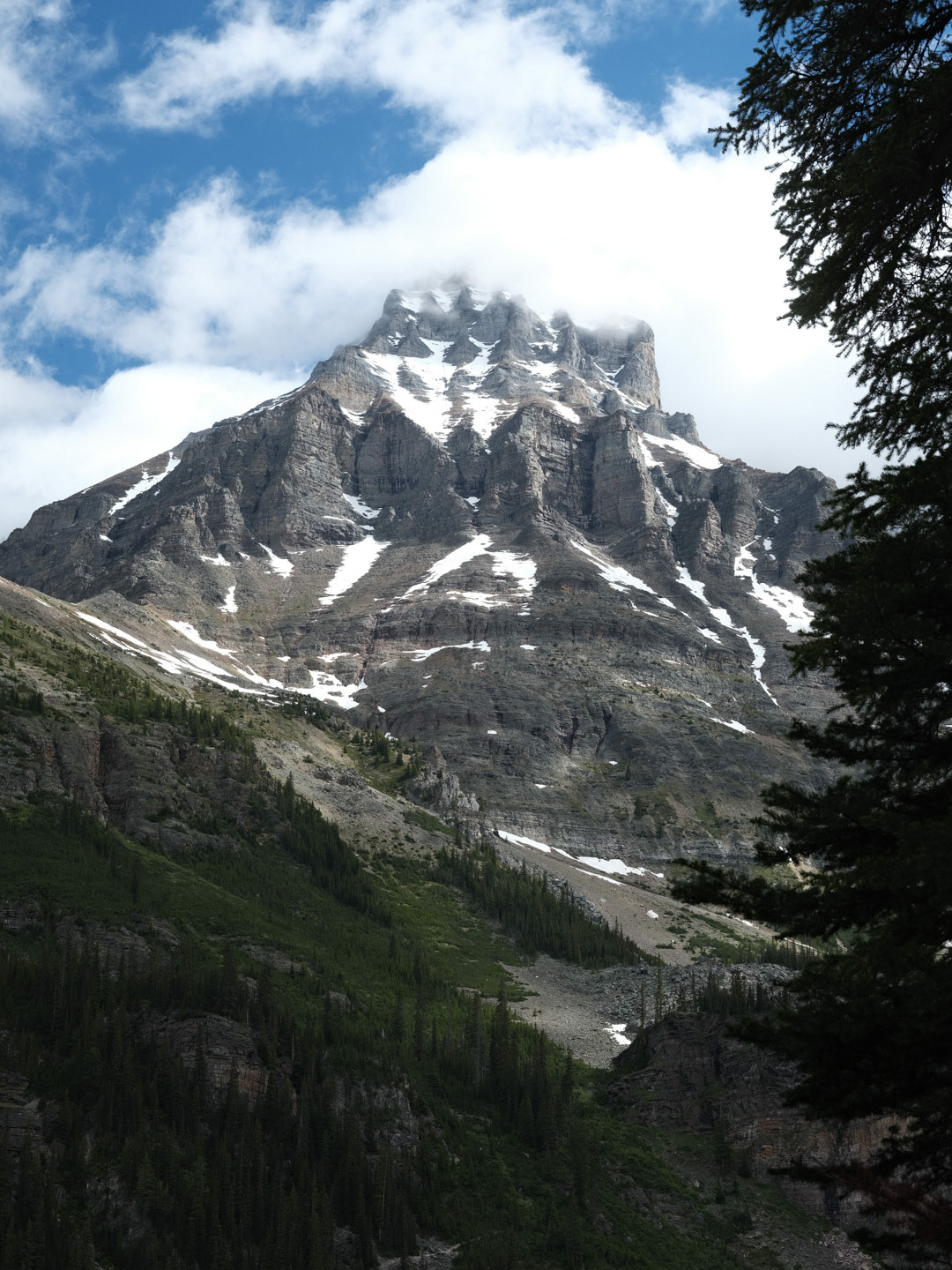 Summer in the Canadian Rockies - 2026 - 42