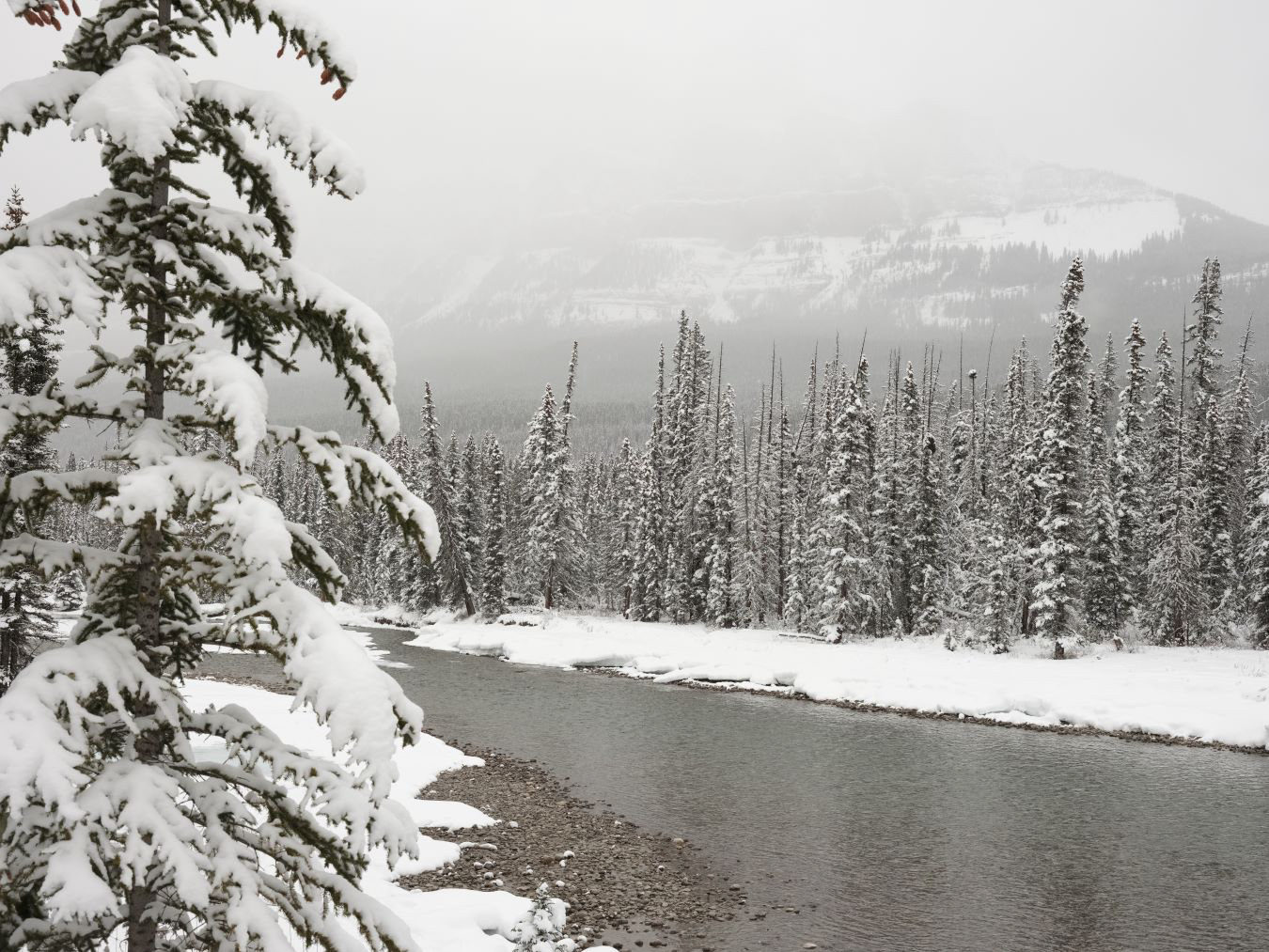 Winter in Canadian Rockies - 2023 - 15