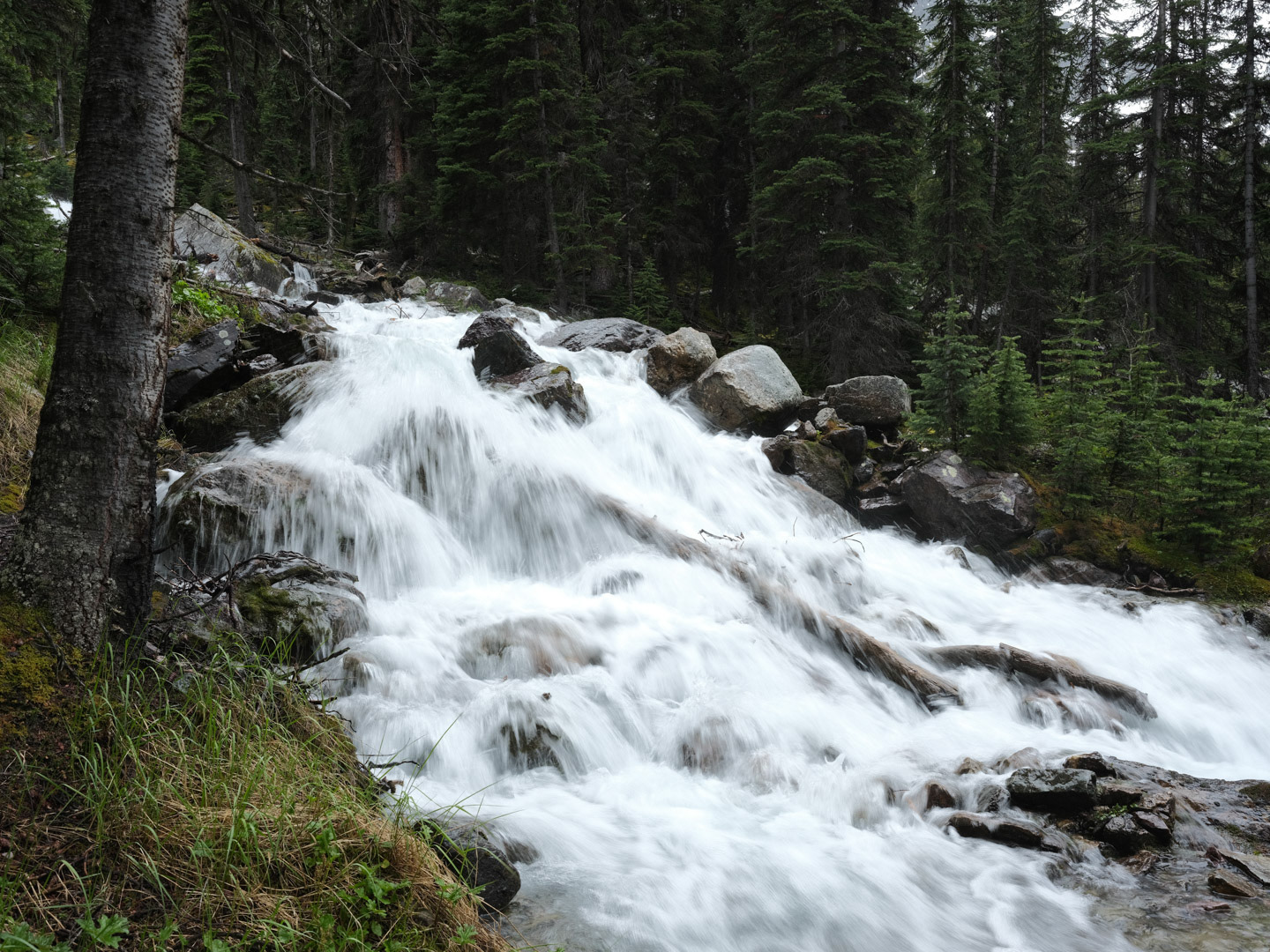 Summer in the Canadian Rockies - 2026 - 44