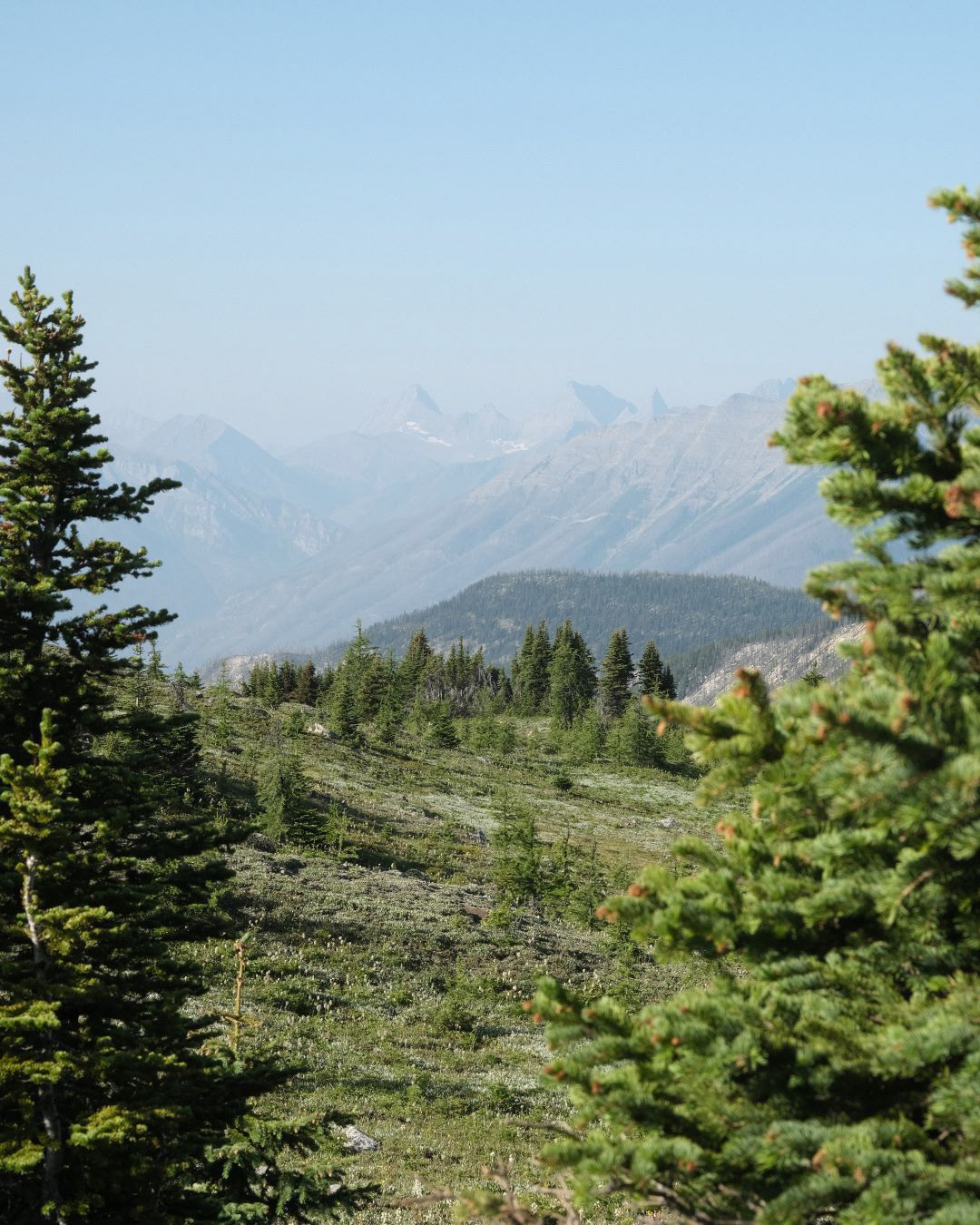 Summer in the Canadian Rockies - 2023 - 18