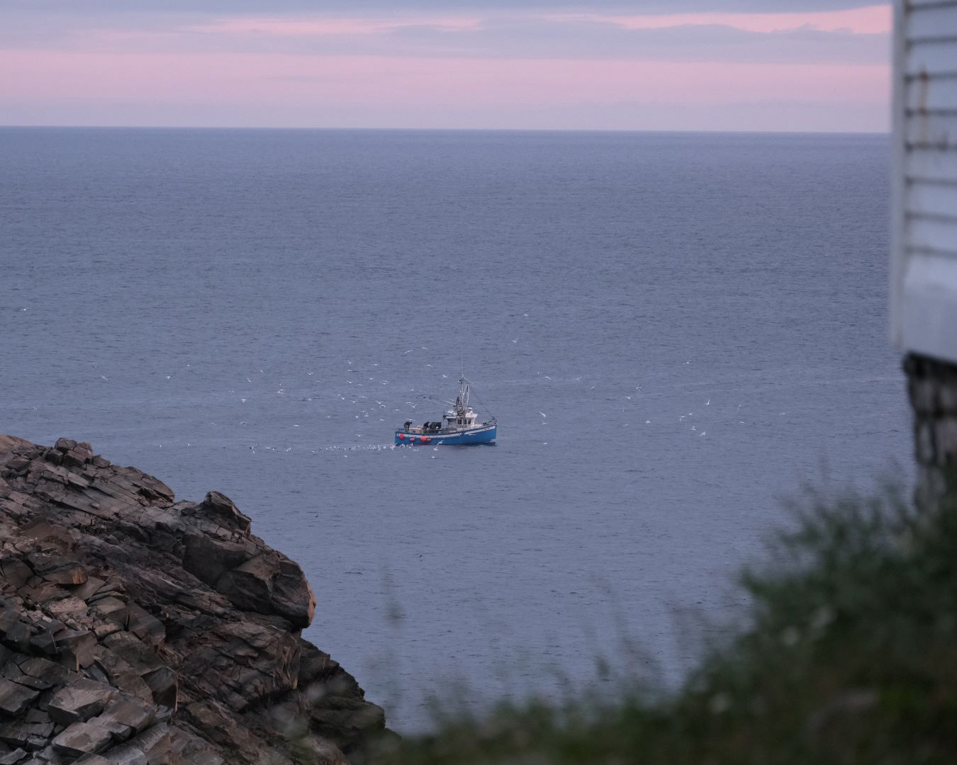 Newfoundland, Canada - 2023 - 47