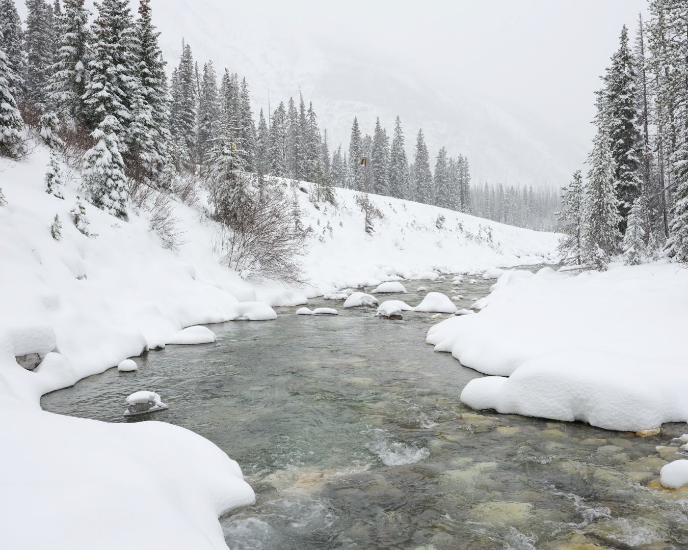 Winter in Canadian Rockies - 2023 - 09