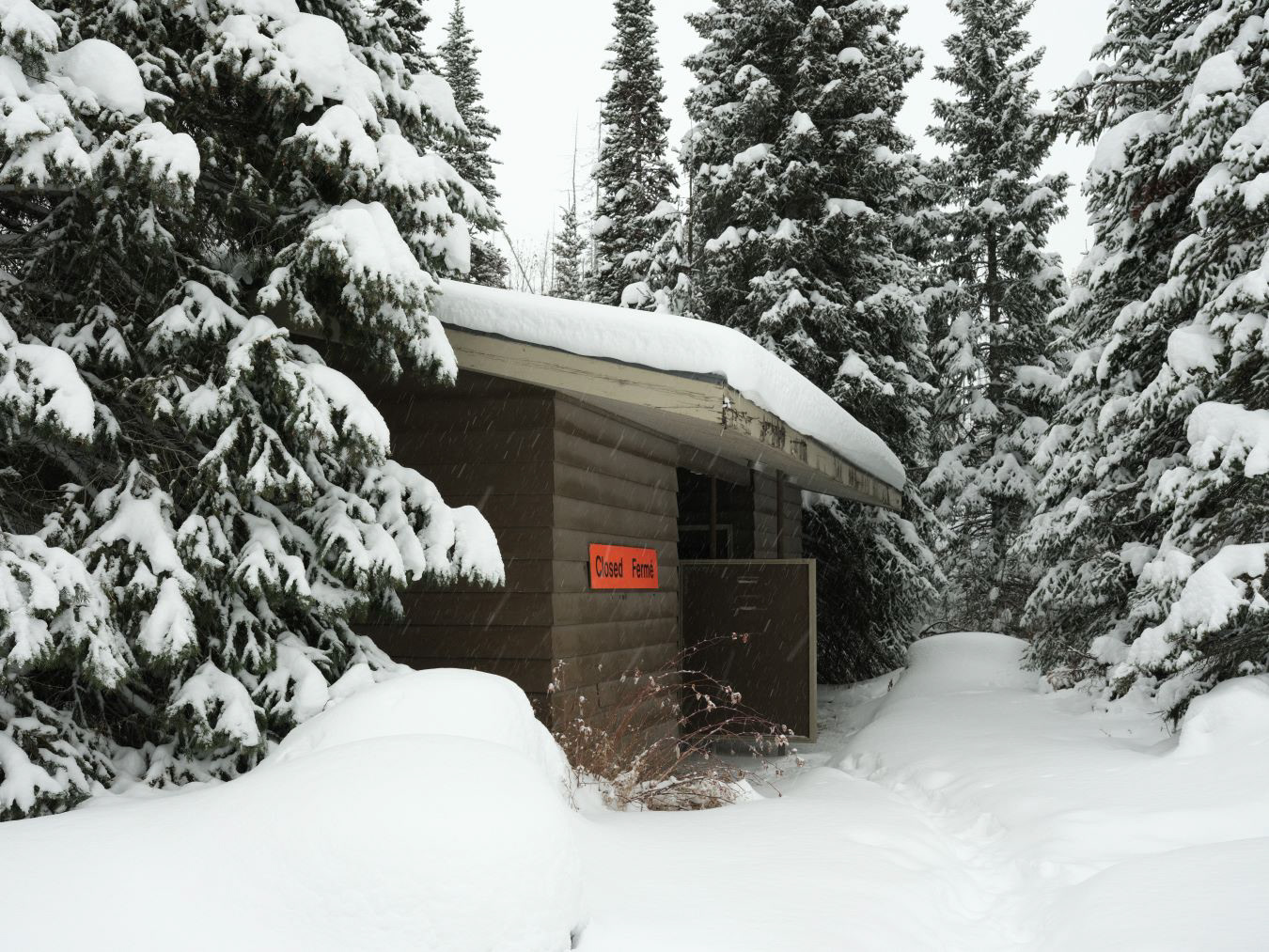 Winter in Canadian Rockies - 2023 - 08