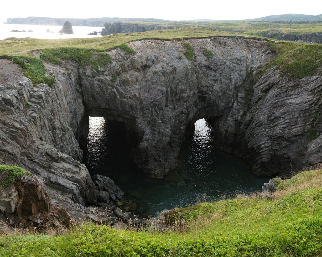 Newfoundland, Canada - 2023 - 50