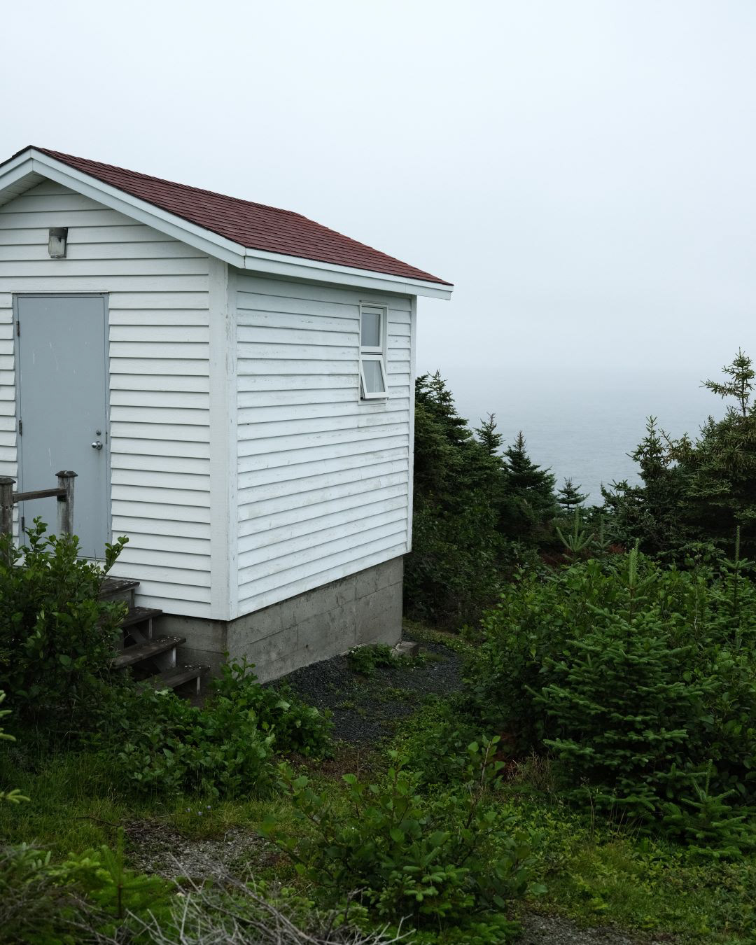 Newfoundland, Canada - 2023 - 19