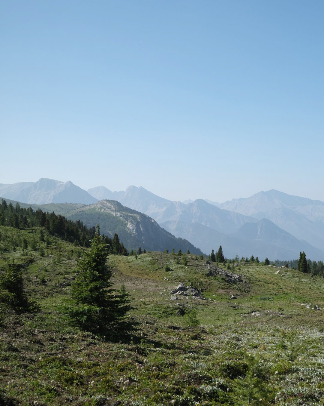 Summer in the Canadian Rockies - 2023 - 23