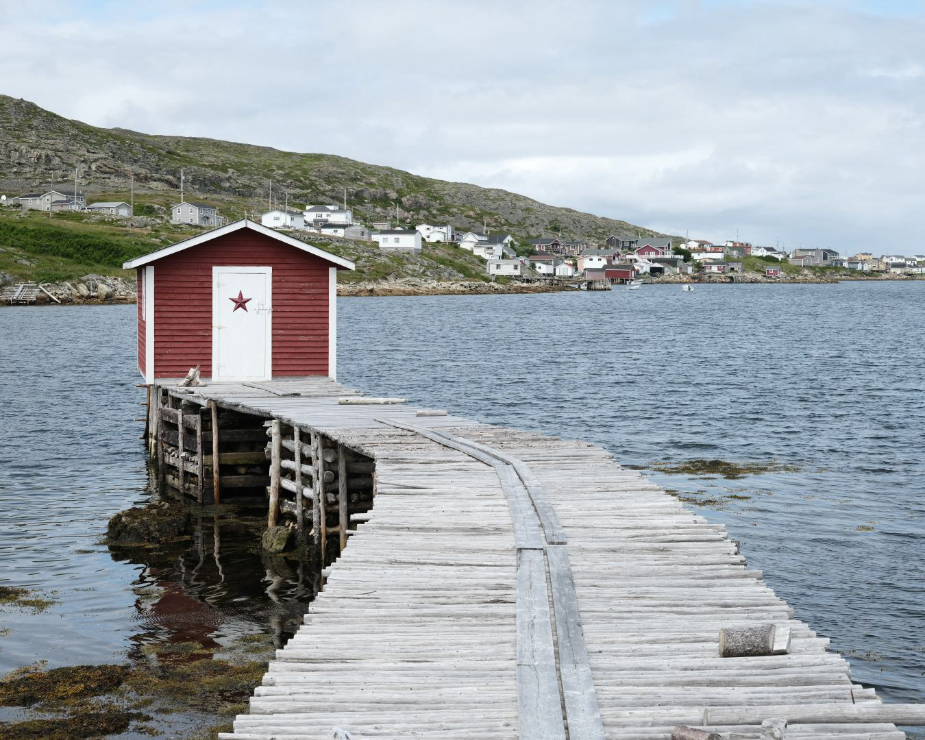 Newfoundland, Canada - 2023 - 29