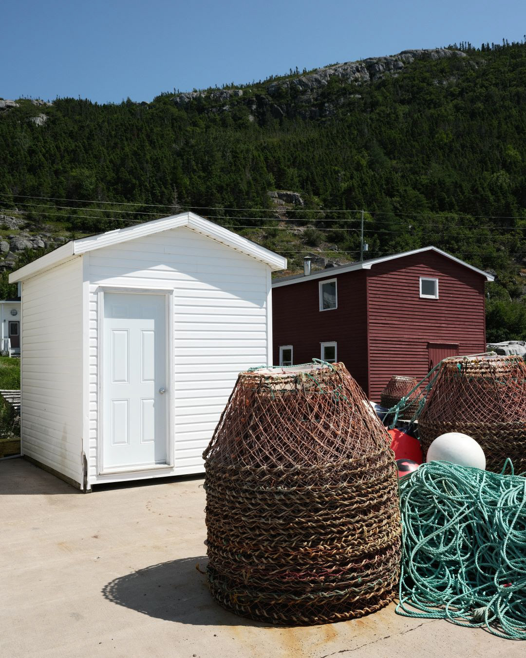 Newfoundland, Canada - 2023 - 34