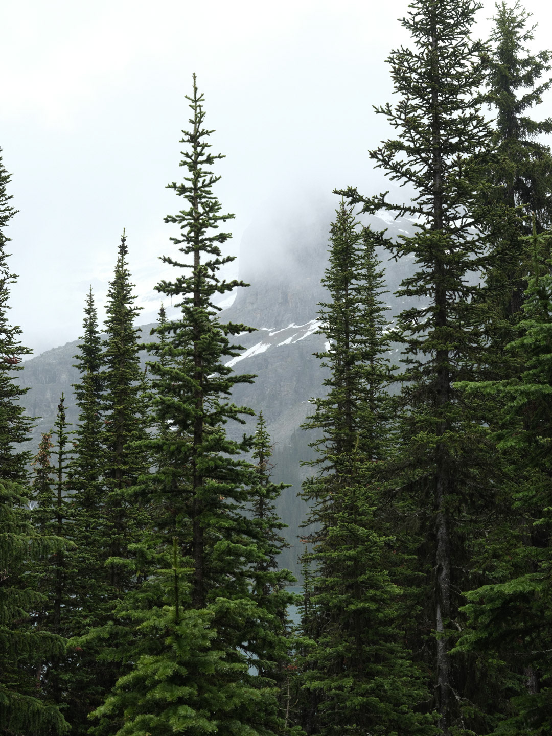 Summer in the Canadian Rockies - 2026 - 35