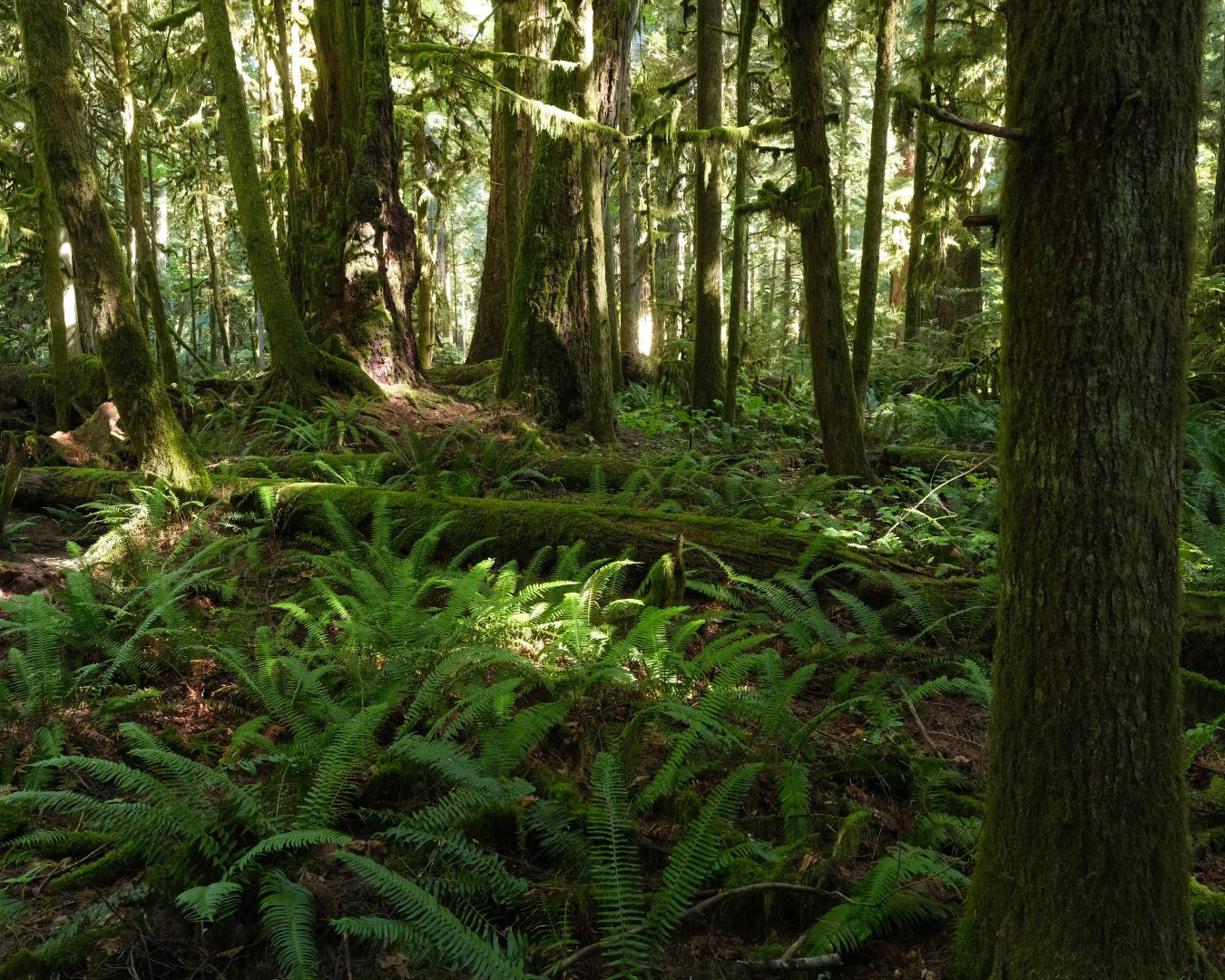 Vancouver Island, Canada - 2023 - 09