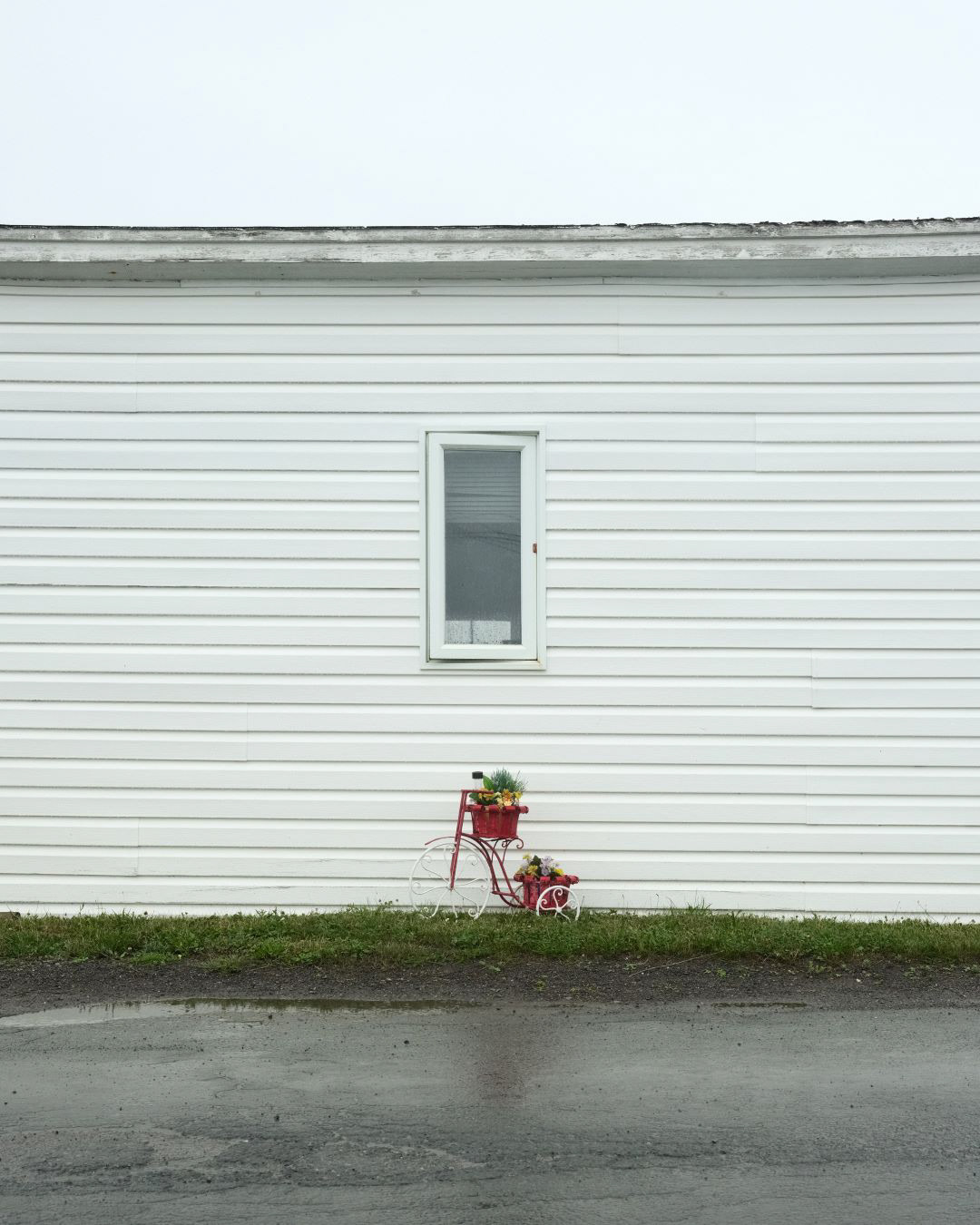 Newfoundland, Canada - 2023 - 20