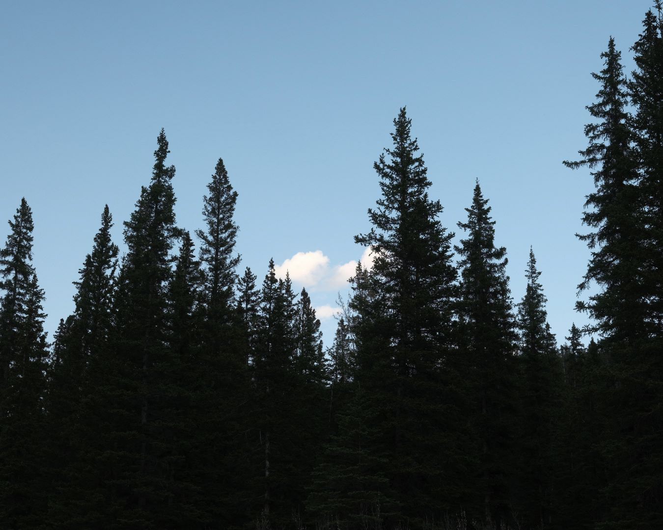 Summer in the Canadian Rockies - 2023 - 02