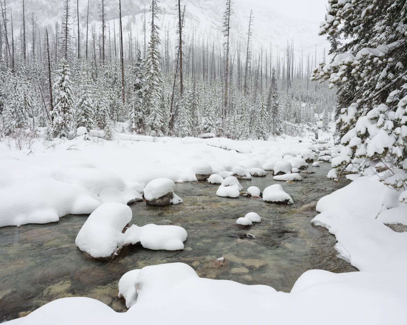 Winter in Canadian Rockies - 2023 - 10