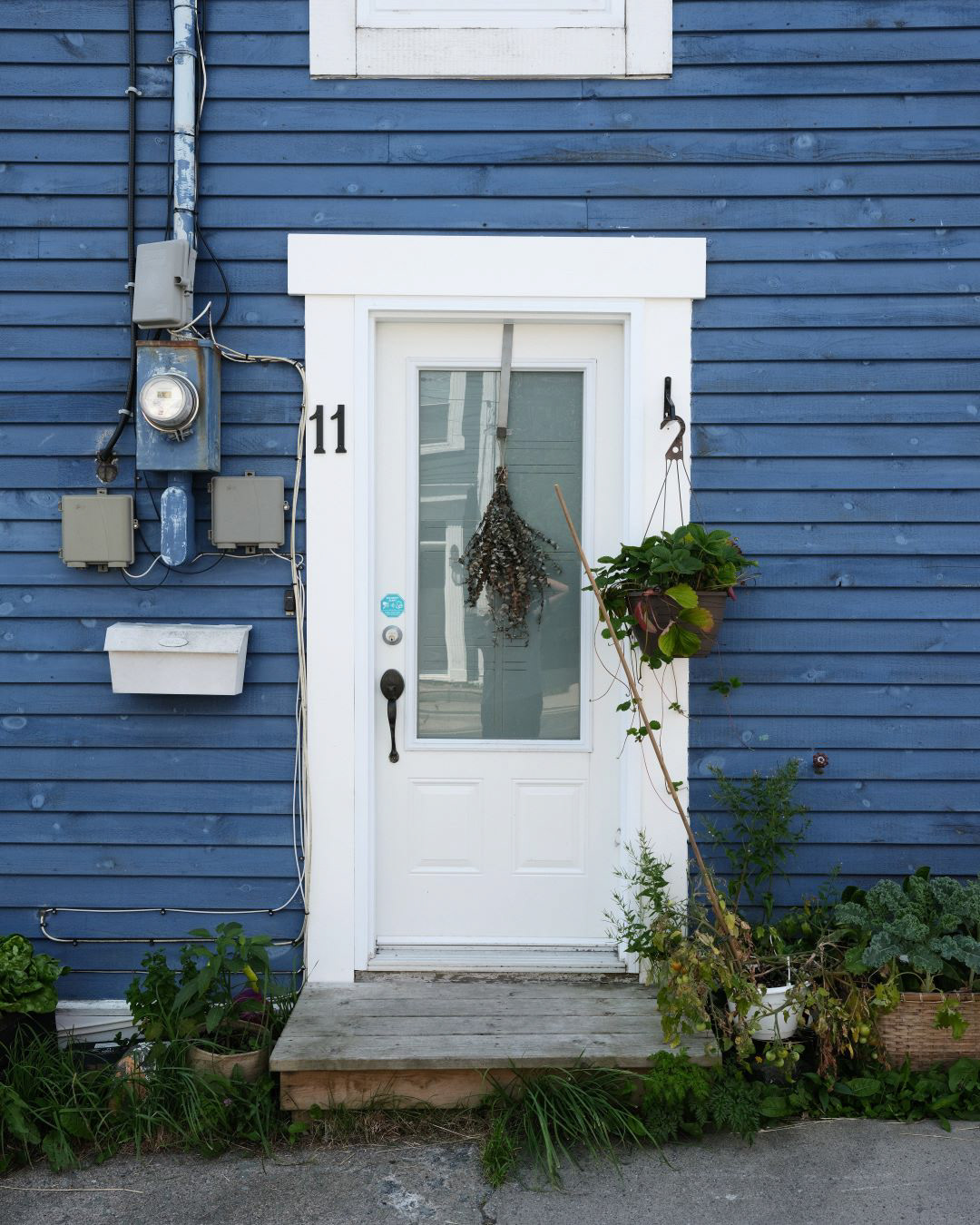 Newfoundland, Canada - 2023 - 60