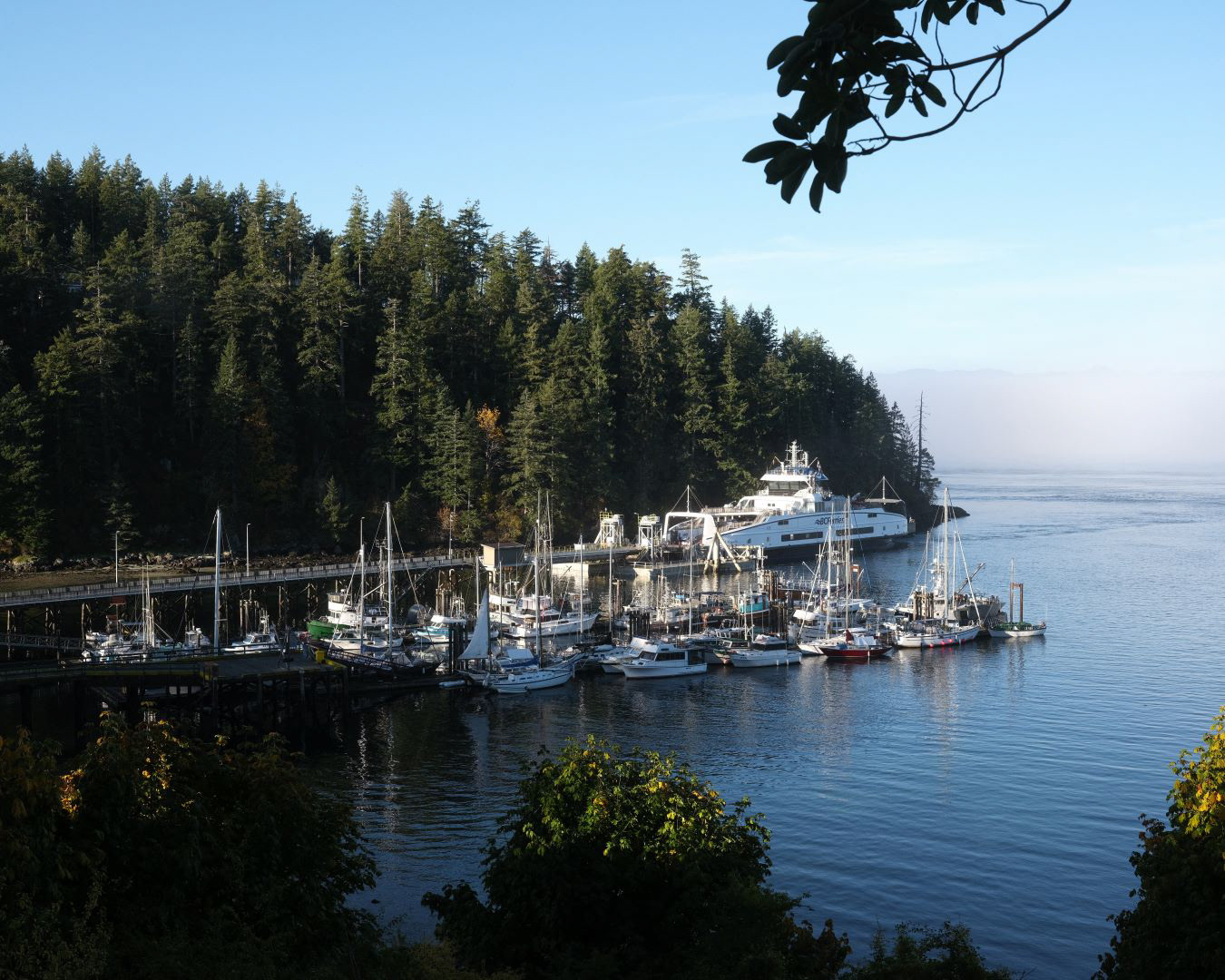 Vancouver Island, Canada - 2023 - 03