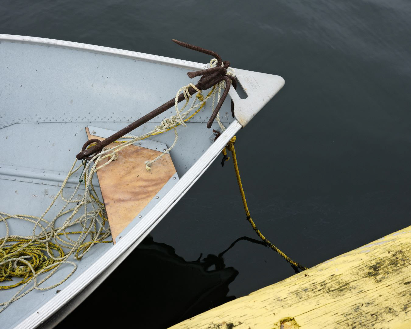 Newfoundland, Canada - 2023 - 18