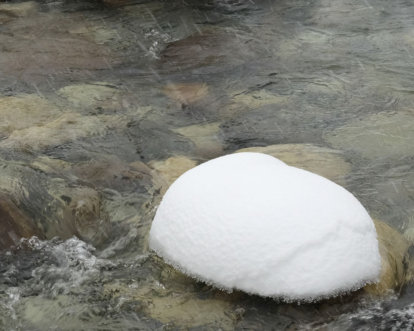 Winter in Canadian Rockies - 2023 - 12