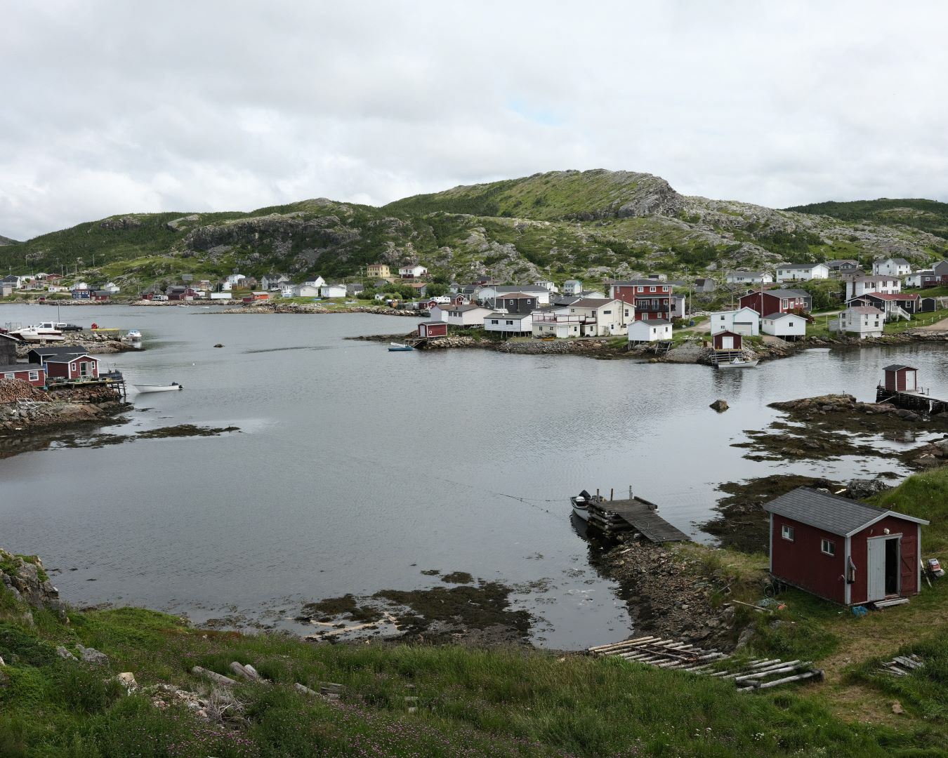 Newfoundland, Canada - 2023 - 36