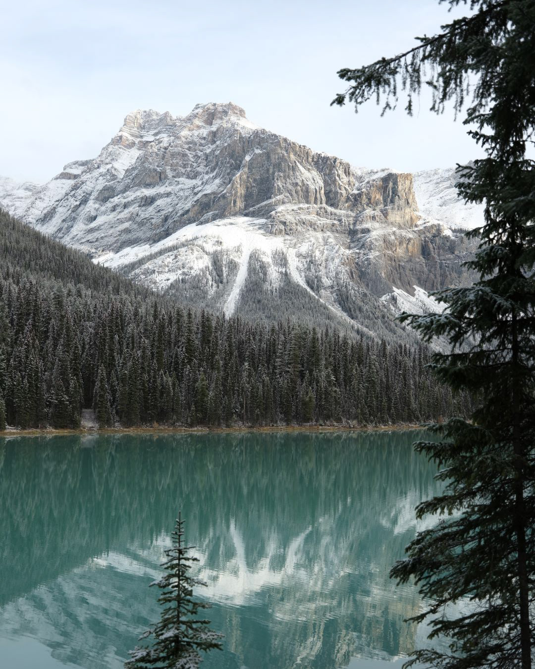 Winter in Canadian Rockies - 2023 - 01