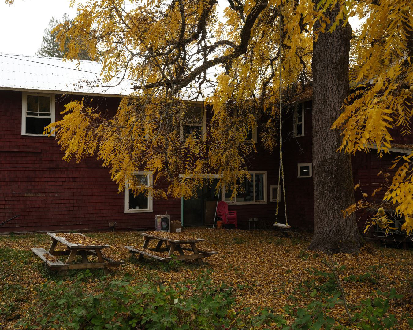 Vancouver Island, Canada - 2023 - 13