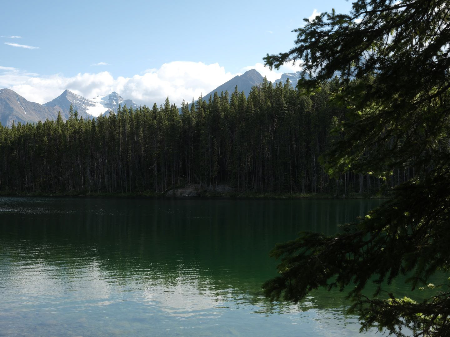 Summer in the Canadian Rockies - 2023 - 12