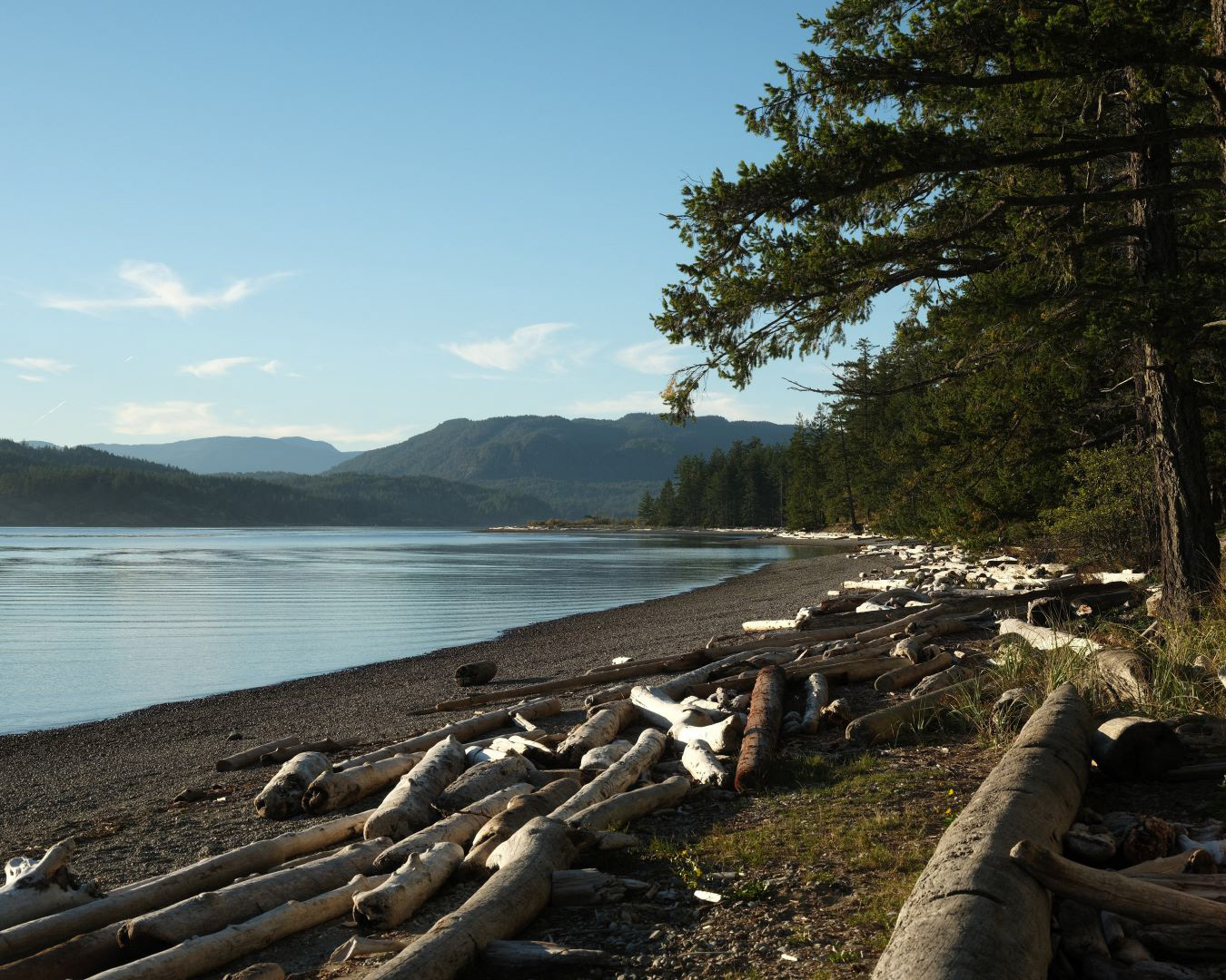 Vancouver Island, Canada - 2023 - 02