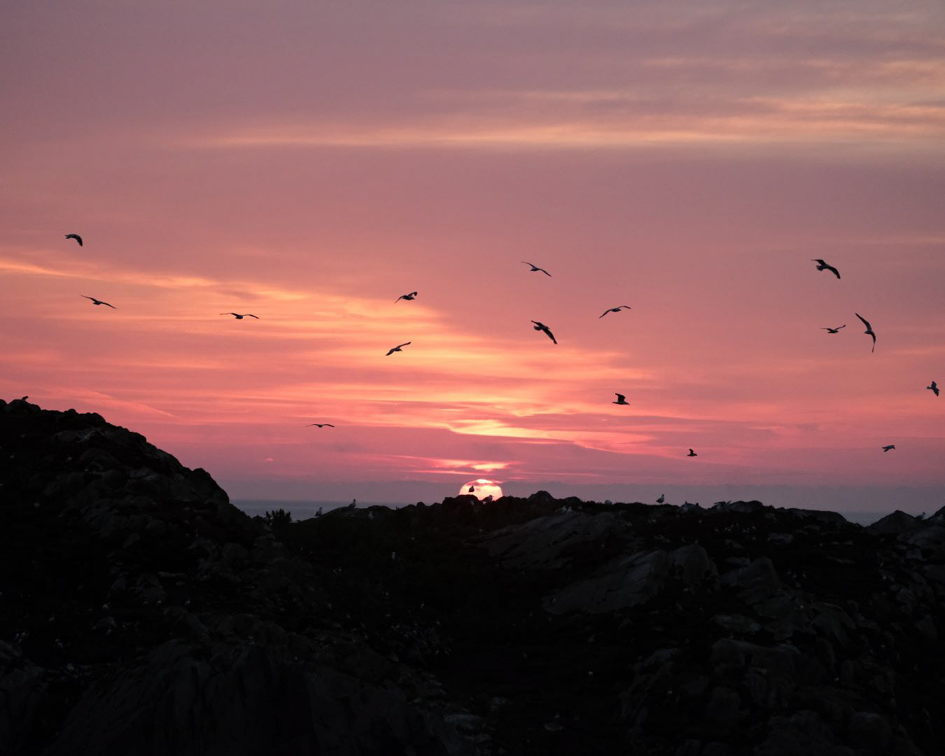 Newfoundland, Canada - 2023 - 48